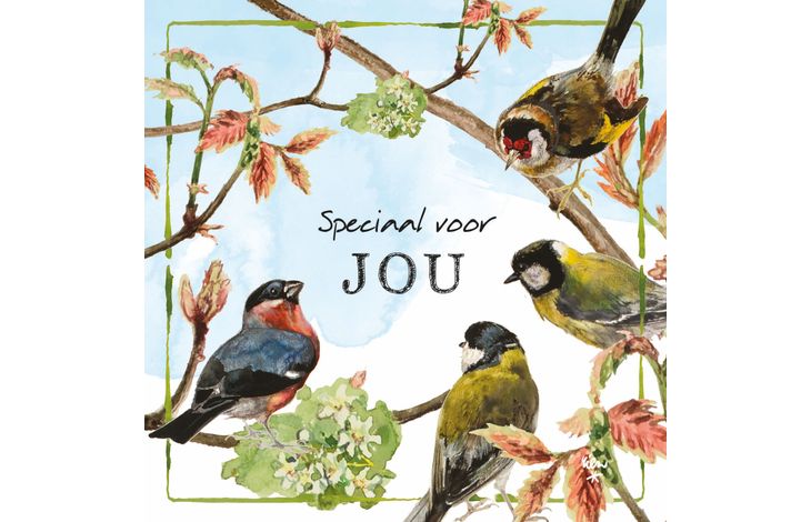 Comello Kaart R. Poortvliet B Speciaal Voor Jou