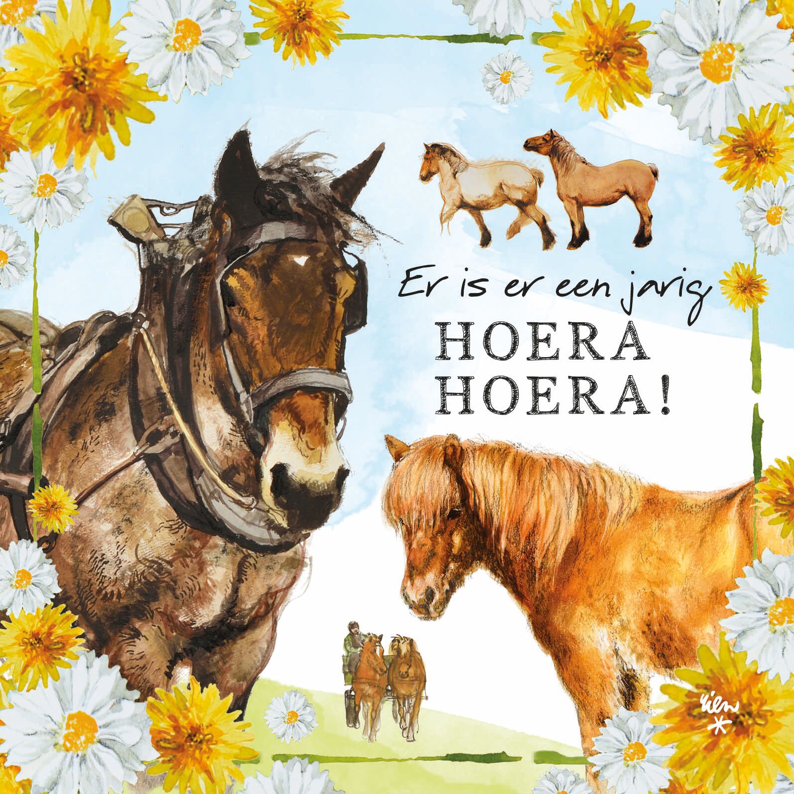 Comello Kaart R. Poortvliet B Er Is Er Een Jarig