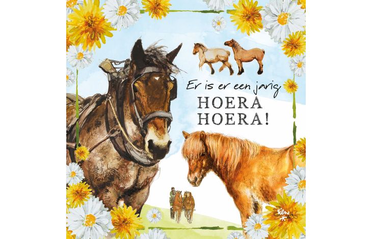 Comello Kaart R. Poortvliet B Er Is Er Een Jarig