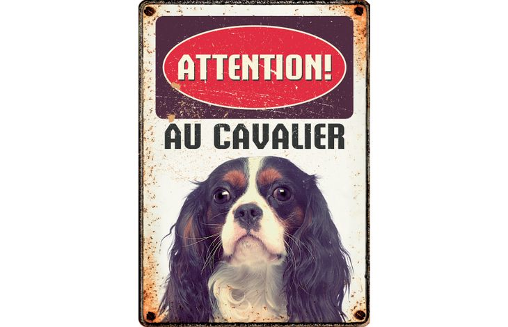 Plenty Gifts Panneau Métallique Cavalier