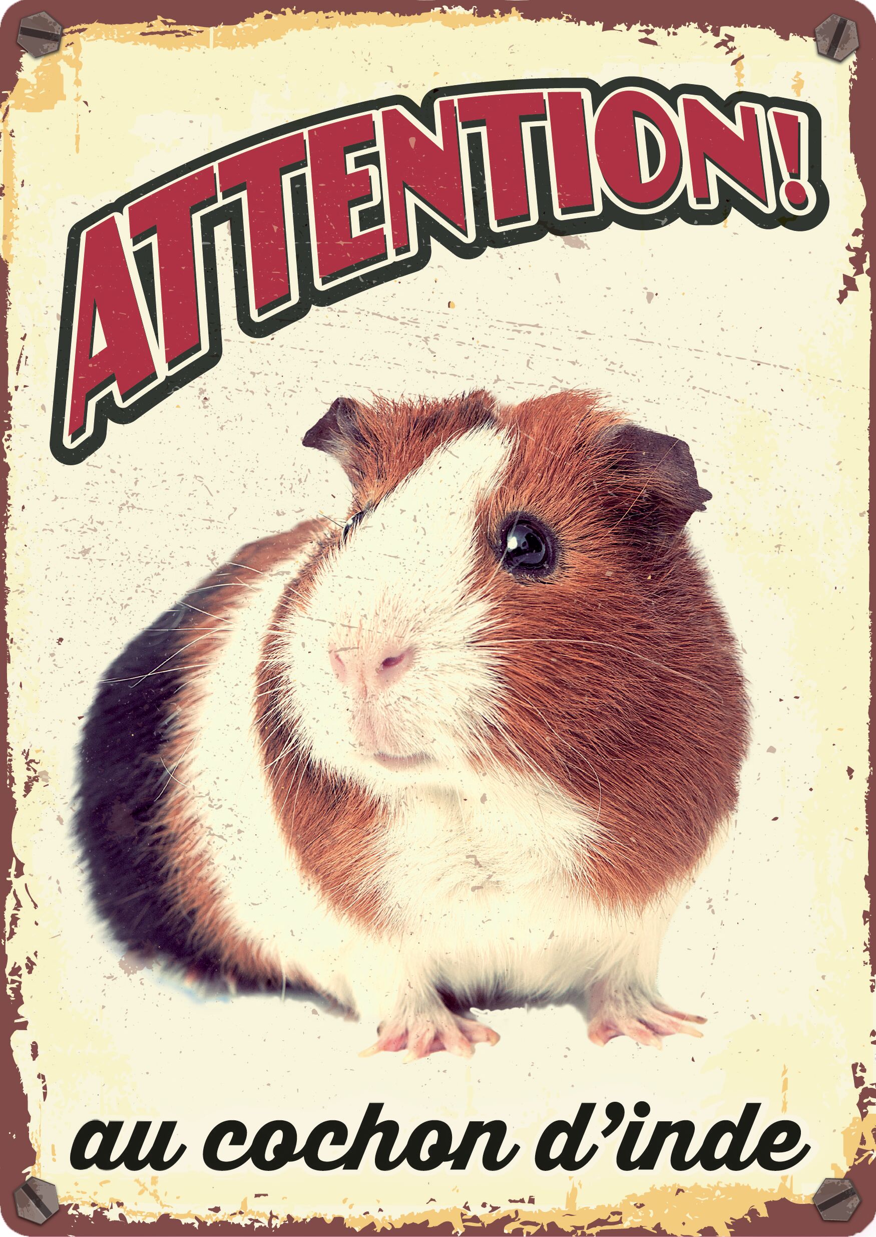 Plenty Gifts Panneau Métallique Cochon D'Inde