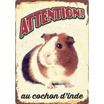 Panneau Métallique Cochon D'Inde