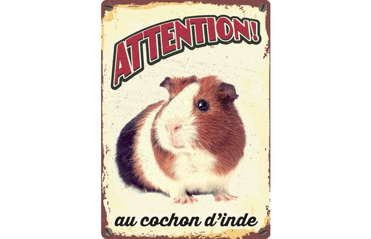 Plenty Gifts Panneau Métallique Cochon D'Inde