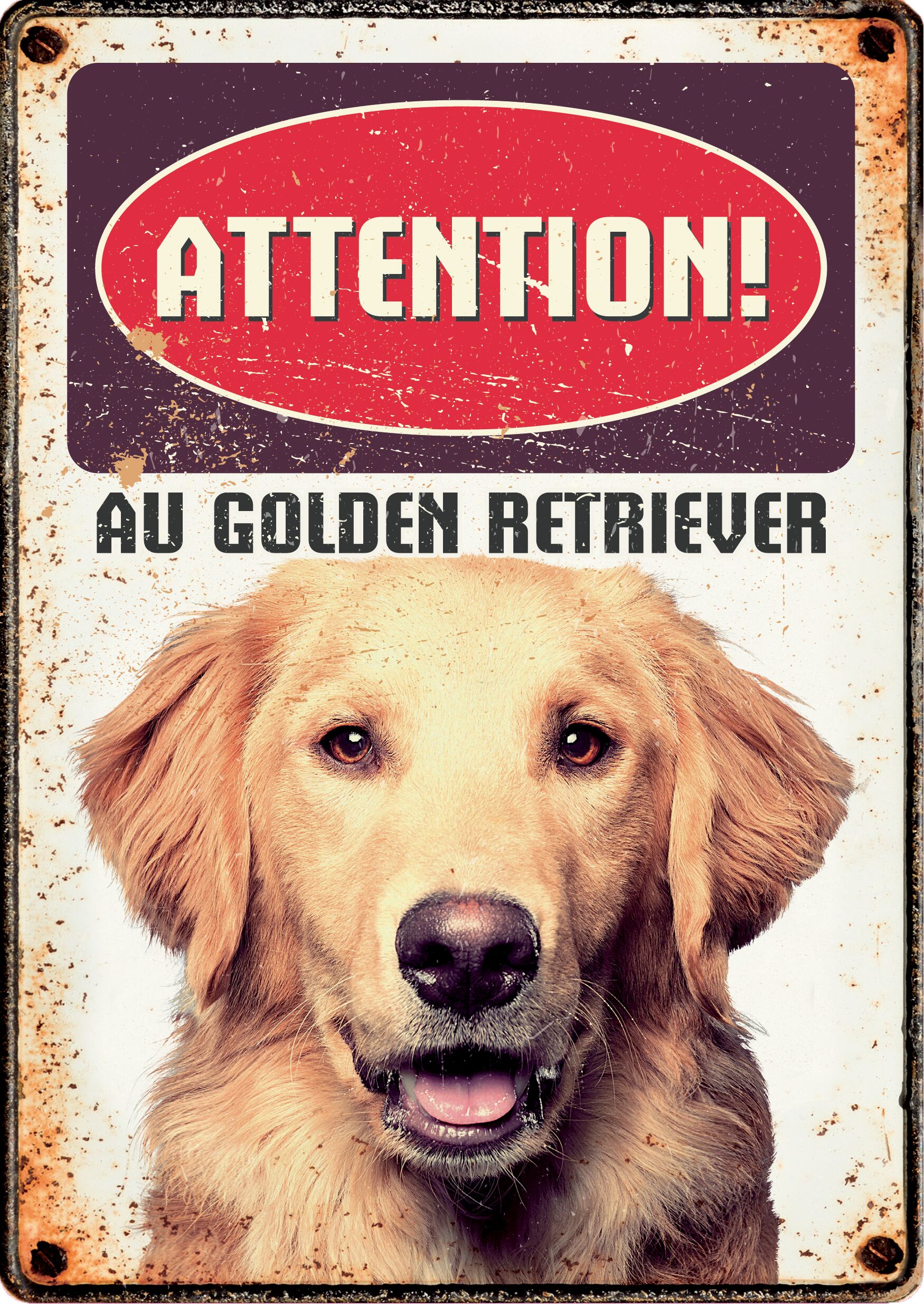 Plenty Gifts Panneau Métallique Golden Retriever