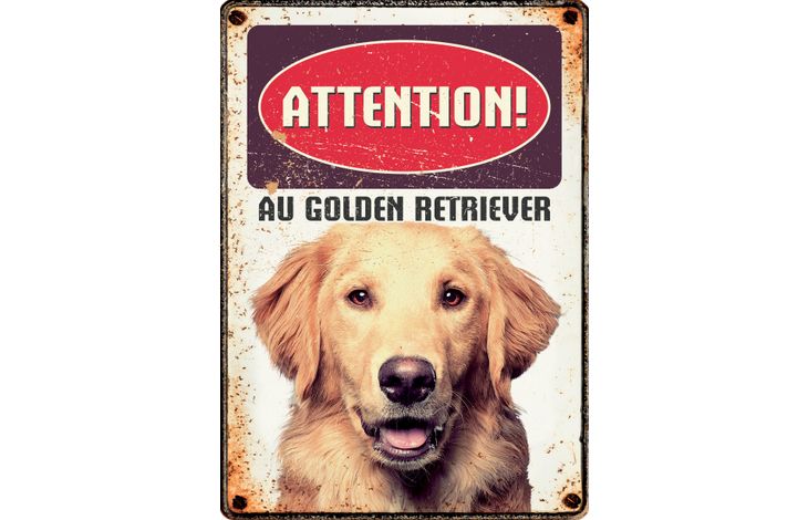 Plenty Gifts Panneau Métallique Golden Retriever