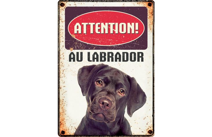 Plenty Gifts Panneau Métallique Labrador