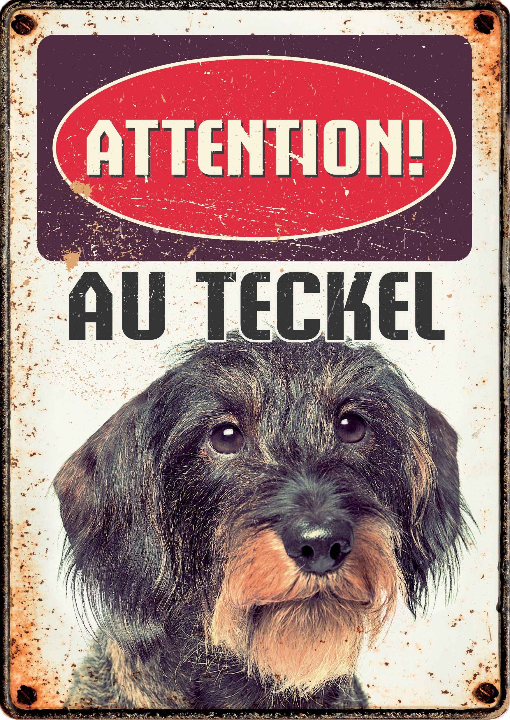 Plenty Gifts Panneau Métallique Teckel