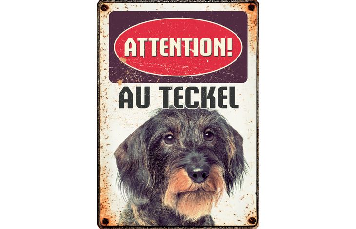 Plenty Gifts Panneau Métallique Teckel