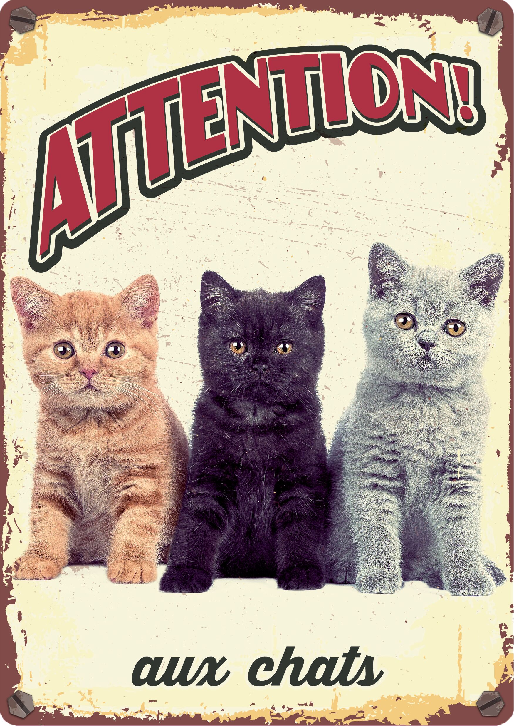 Plenty Gifts Panneau Métallique Chats Trois