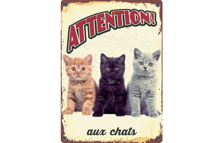 Plenty Gifts Panneau Métallique Chats Trois