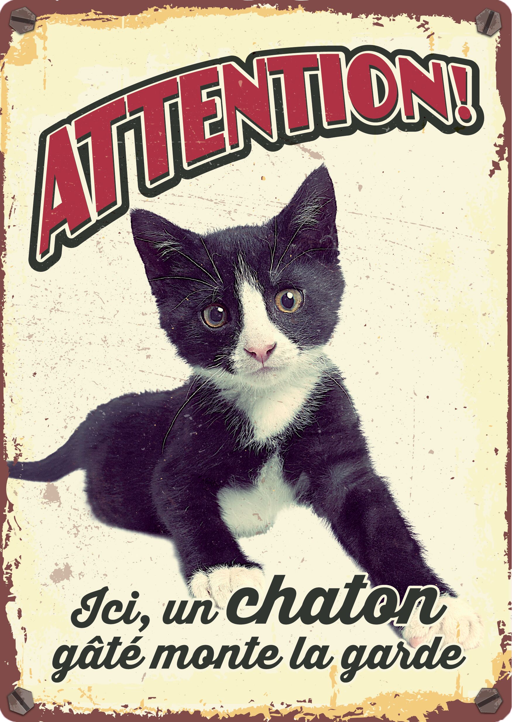 Plenty Gifts Panneau Métallique Chaton