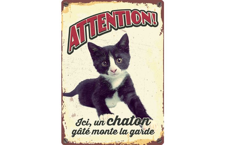 Plenty Gifts Panneau Métallique Chaton