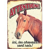 Plenty Gifts Bord blik Les Chevaux Sont Rois