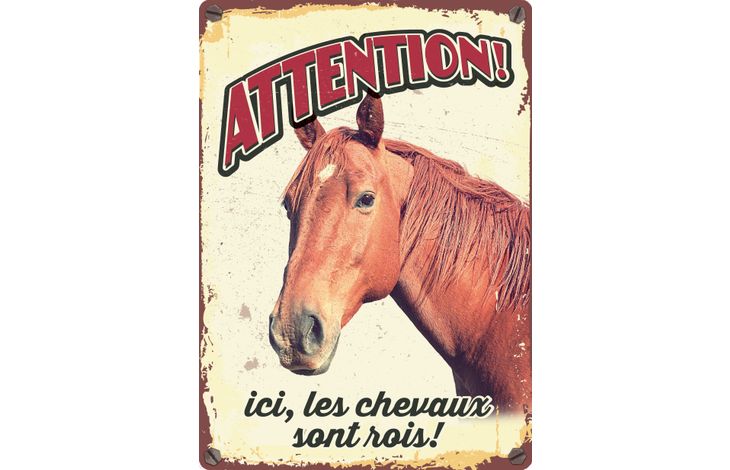 Plenty Gifts Bord blik Les Chevaux Sont Rois