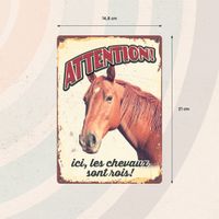 Plenty Gifts Bord blik Les Chevaux Sont Rois