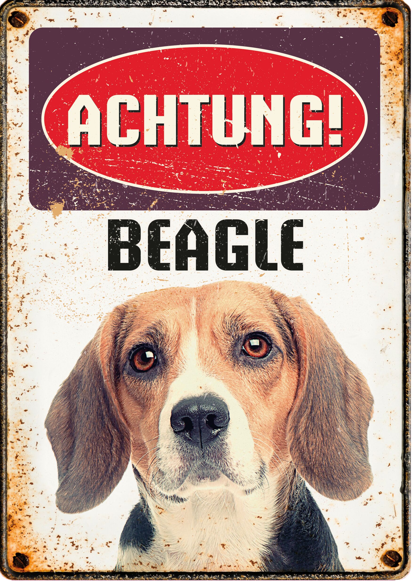 Plenty Gifts Schild Blech Beagle