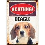 Schild Blech Beagle