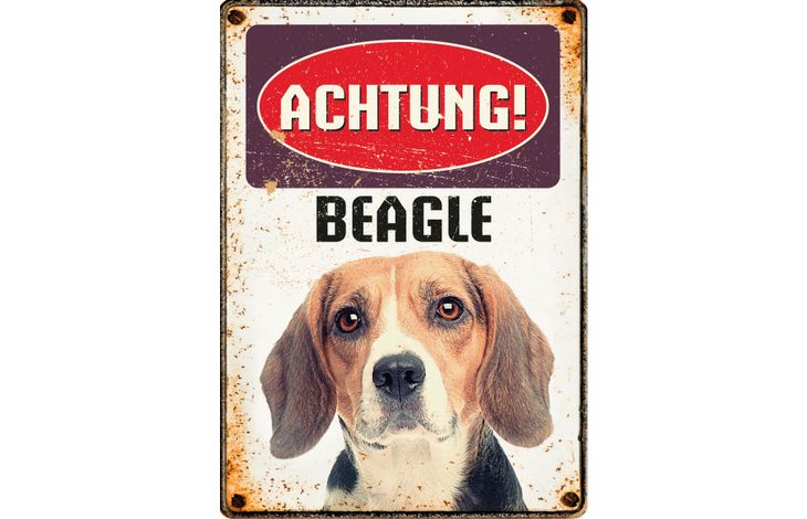 Plenty Gifts Schild Blech Beagle