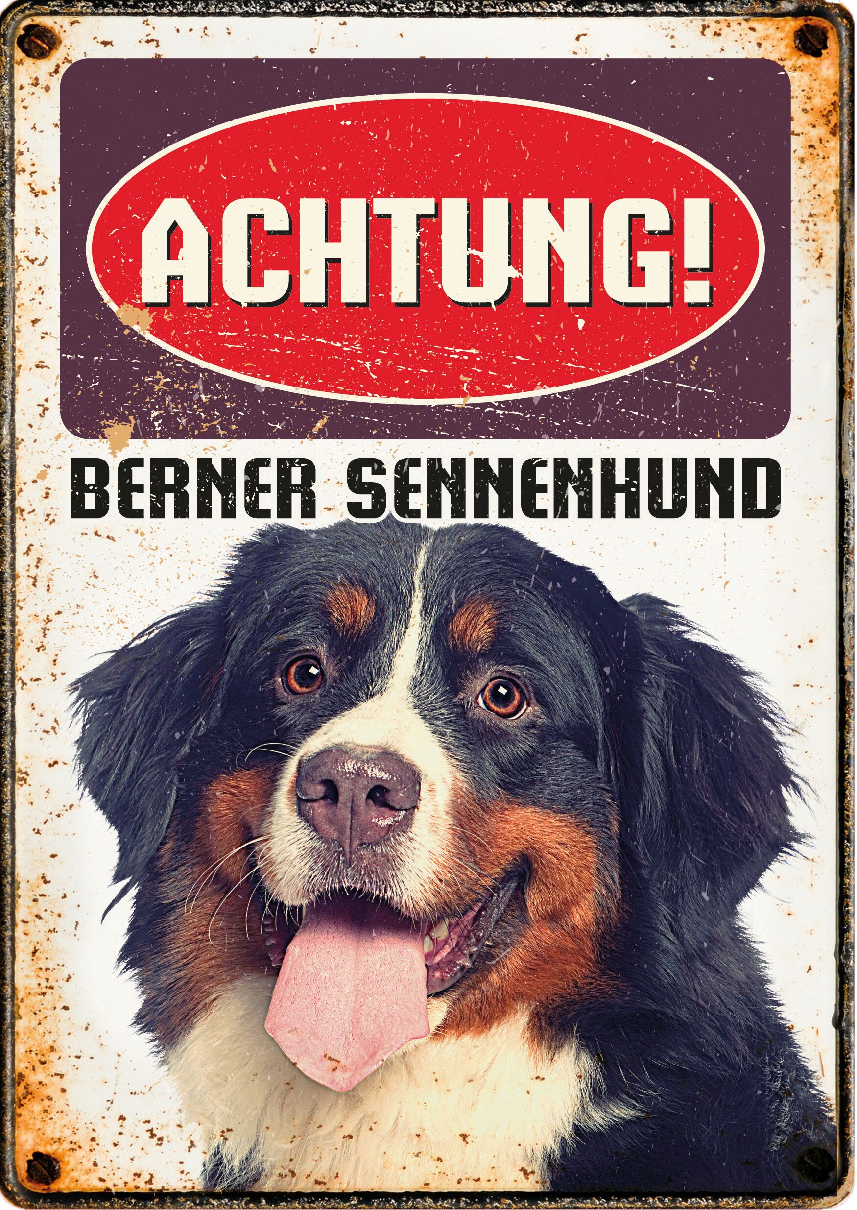 Plenty Gifts Schild Blech Berner Sennenhund