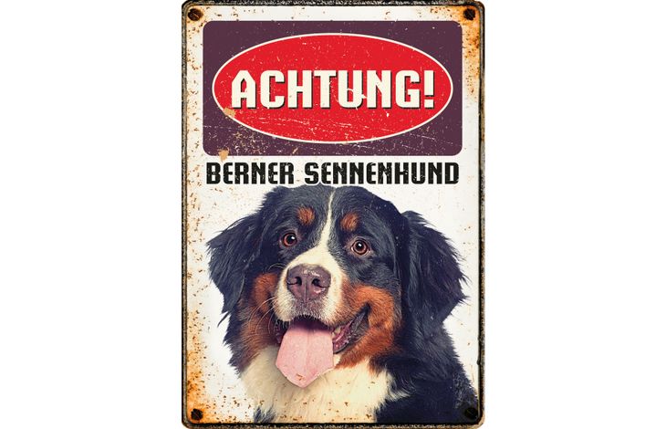 Plenty Gifts Schild Blech Berner Sennenhund