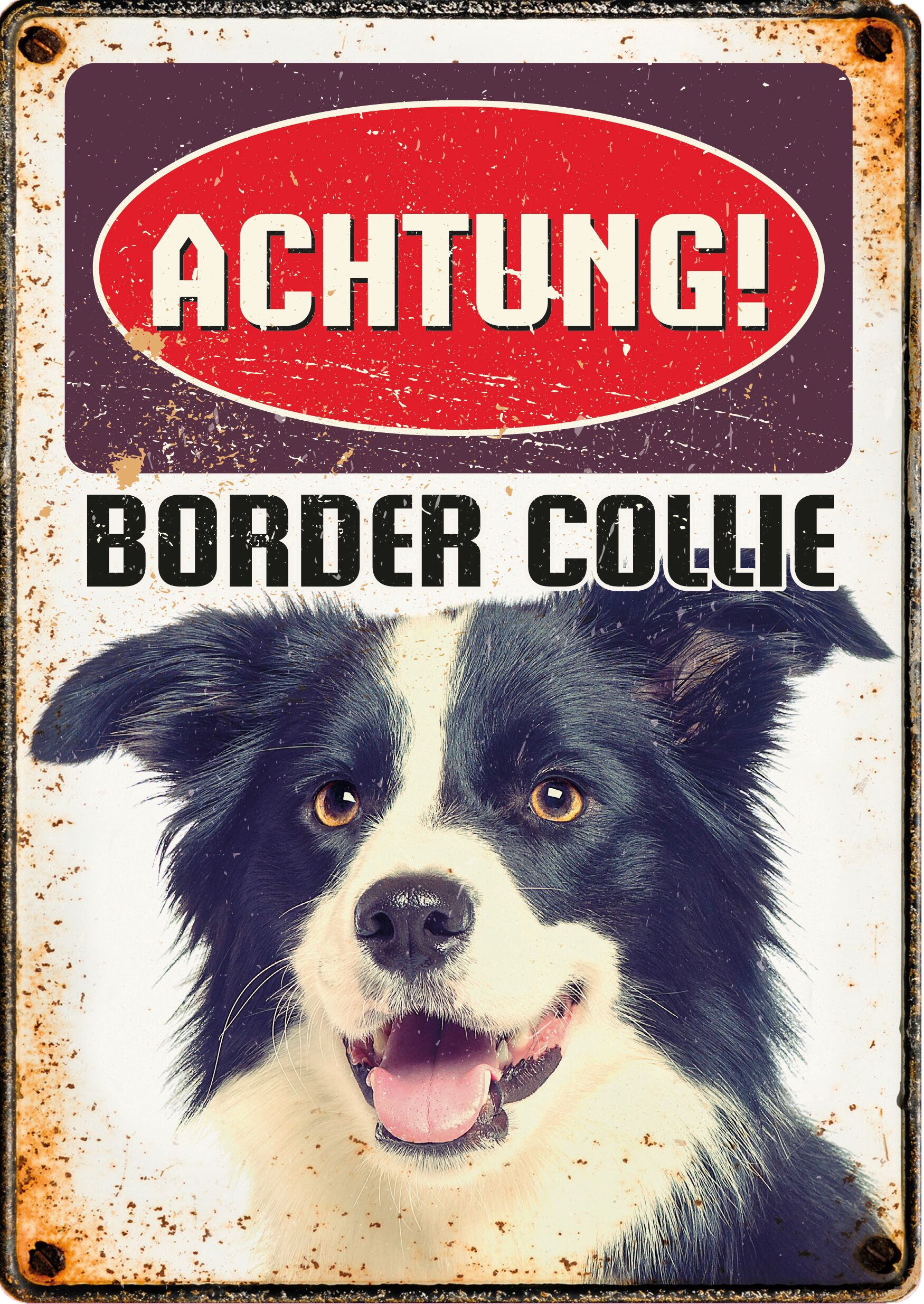 Plenty Gifts Schild Blech Border Collie