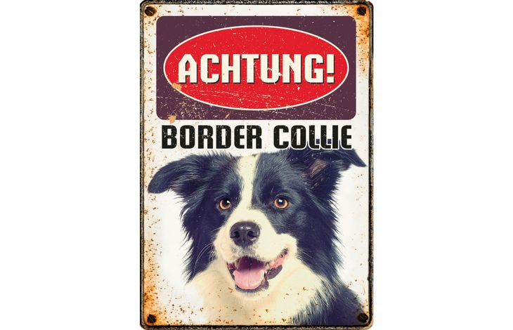 Plenty Gifts Schild Blech Border Collie