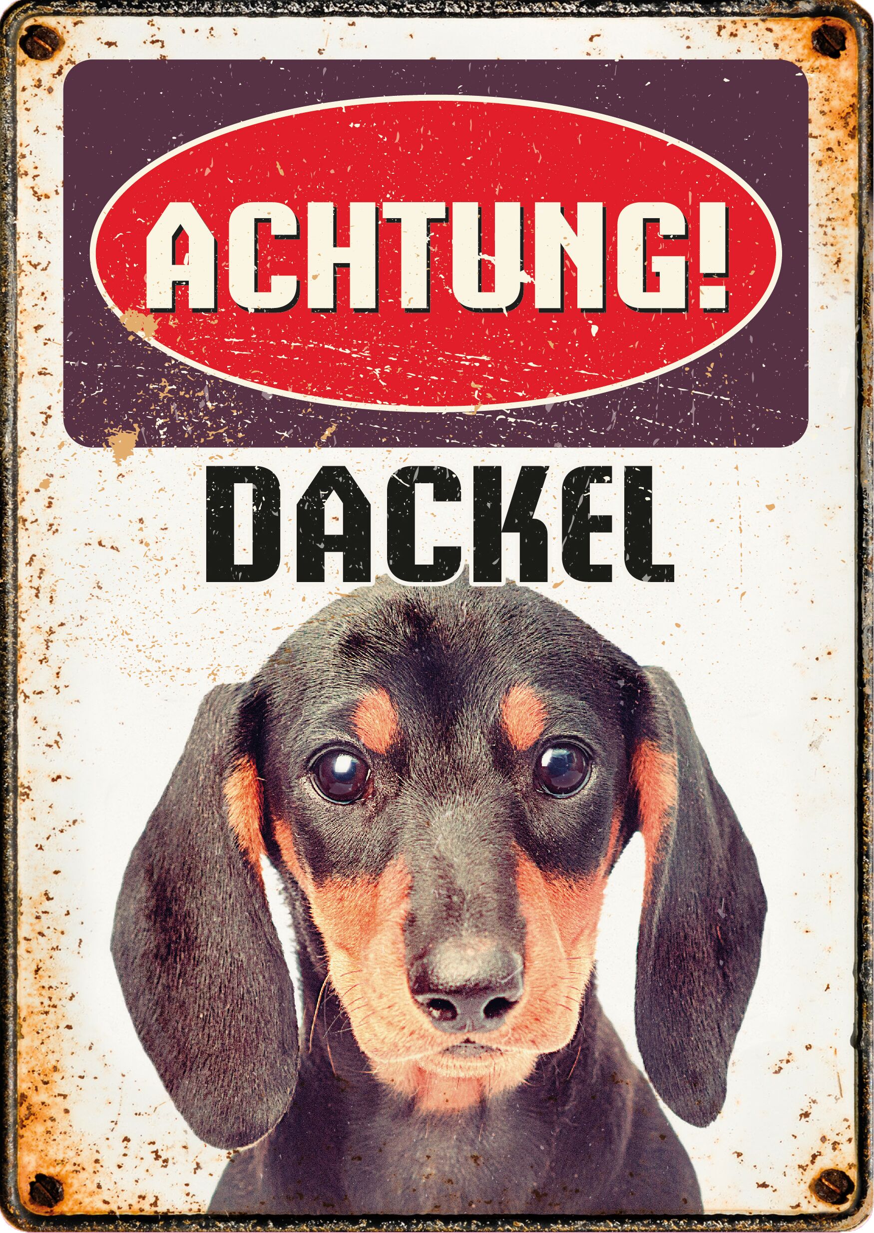 Plenty Gifts Schild Blech Dackel