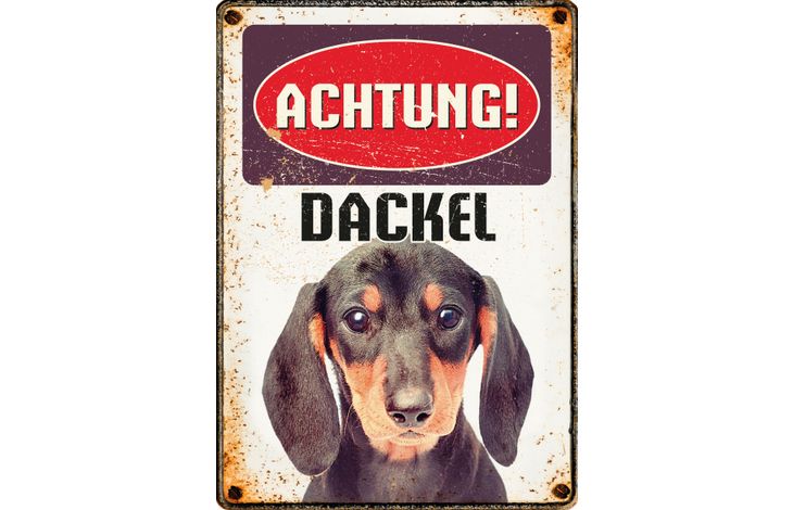 Plenty Gifts Schild Blech Dackel