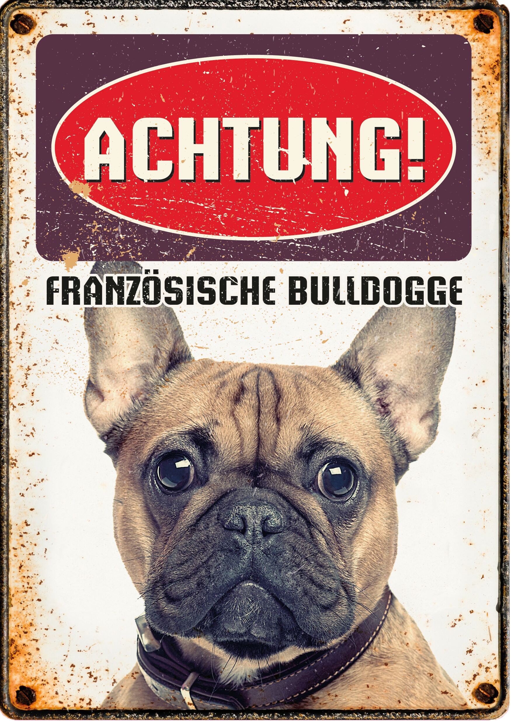 Plenty Gifts Schild Blech Französische Bulldog