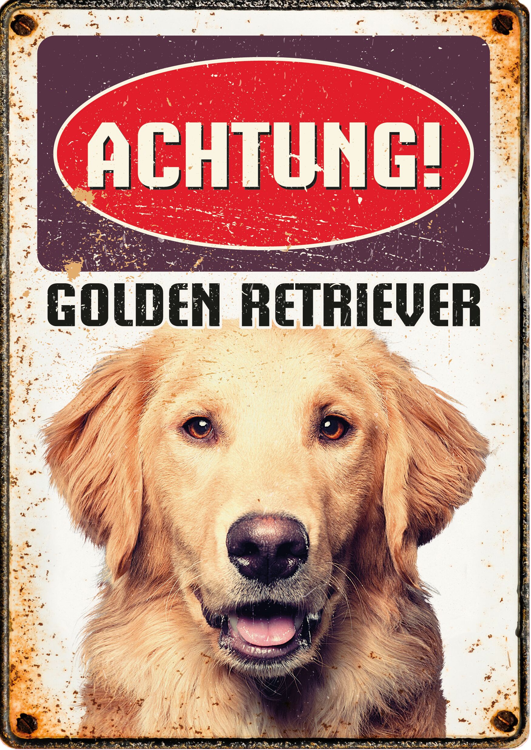 Plenty Gifts Schild Blech Golden Retriever