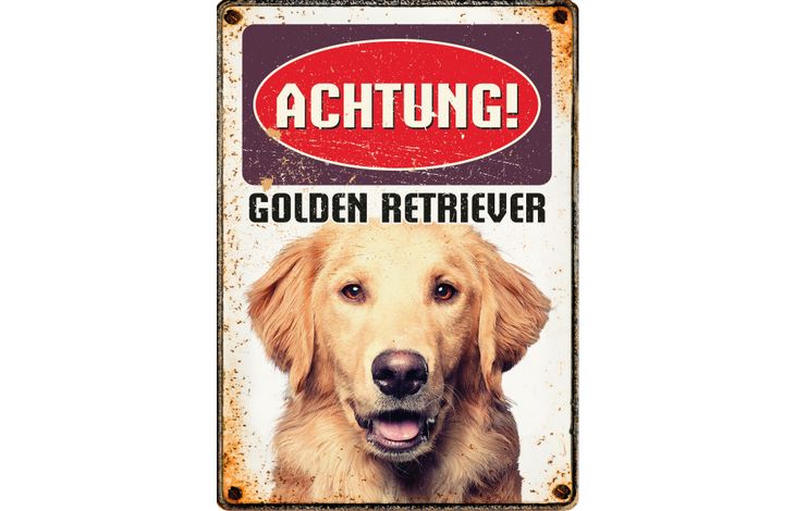 Plenty Gifts Schild Blech Golden Retriever