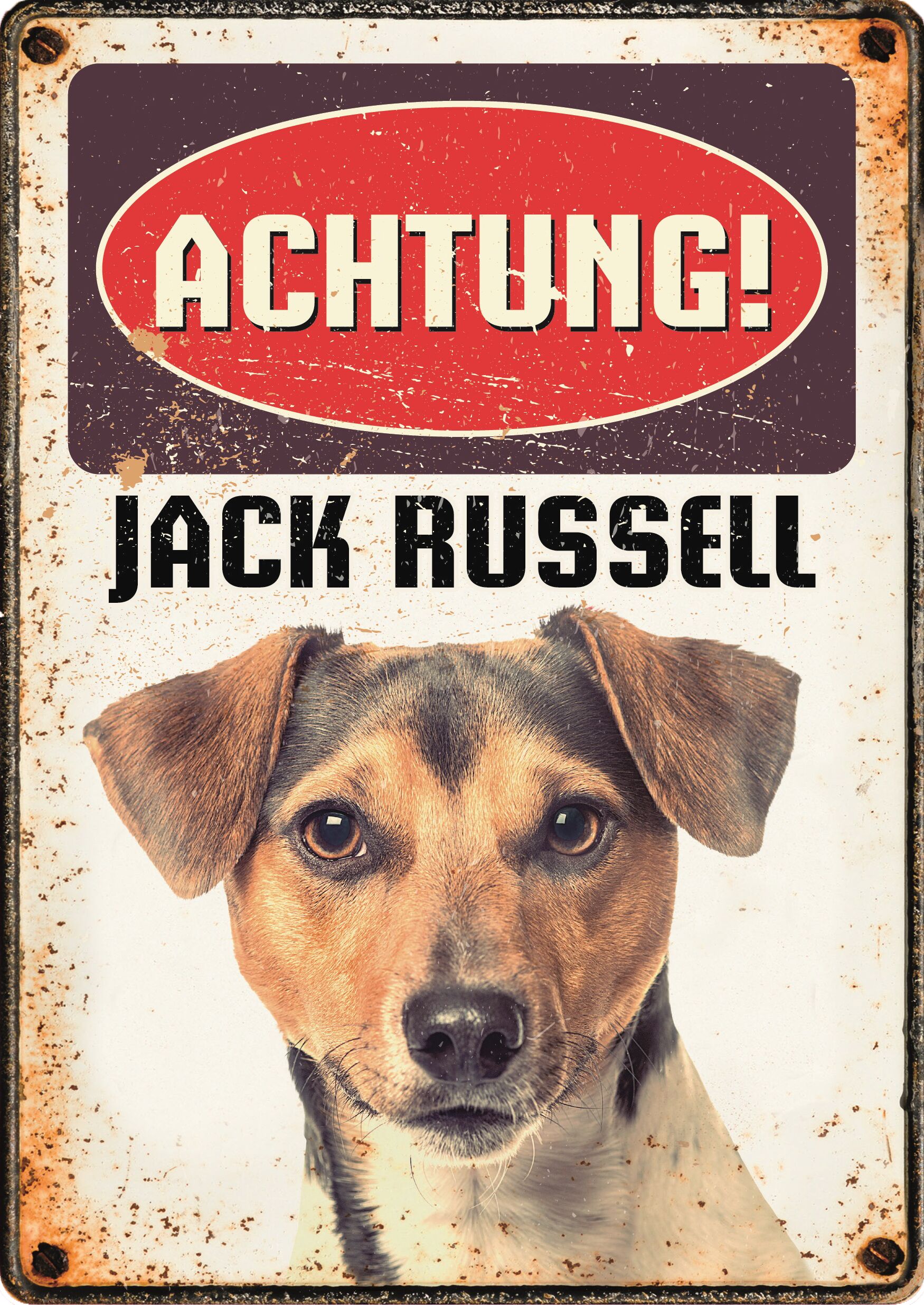 Plenty Gifts Schild Blech Jack Russell