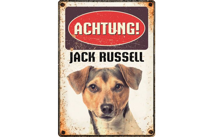 Plenty Gifts Schild Blech Jack Russell