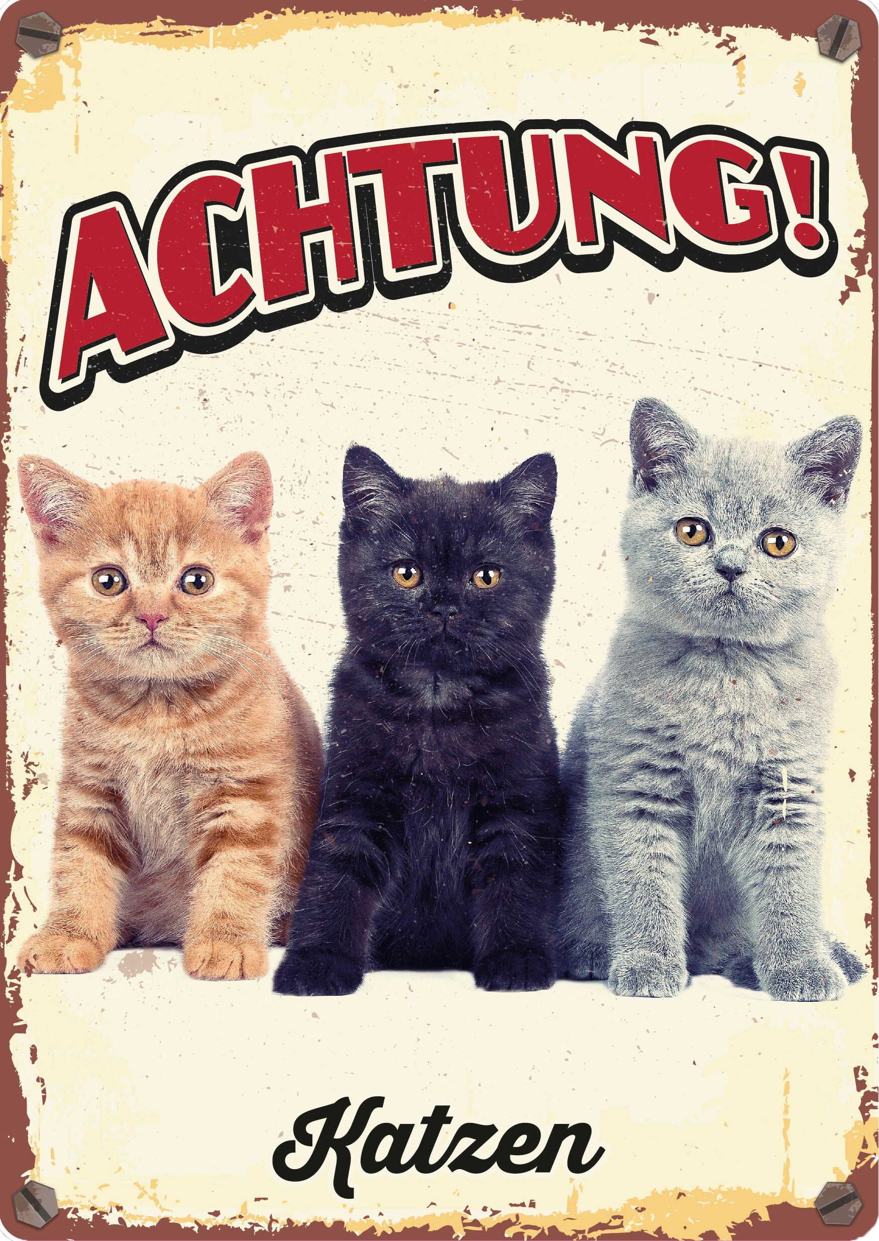 Plenty Gifts Schild Blech Drei Katzen