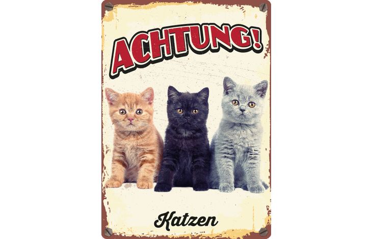 Plenty Gifts Schild Blech Drei Katzen