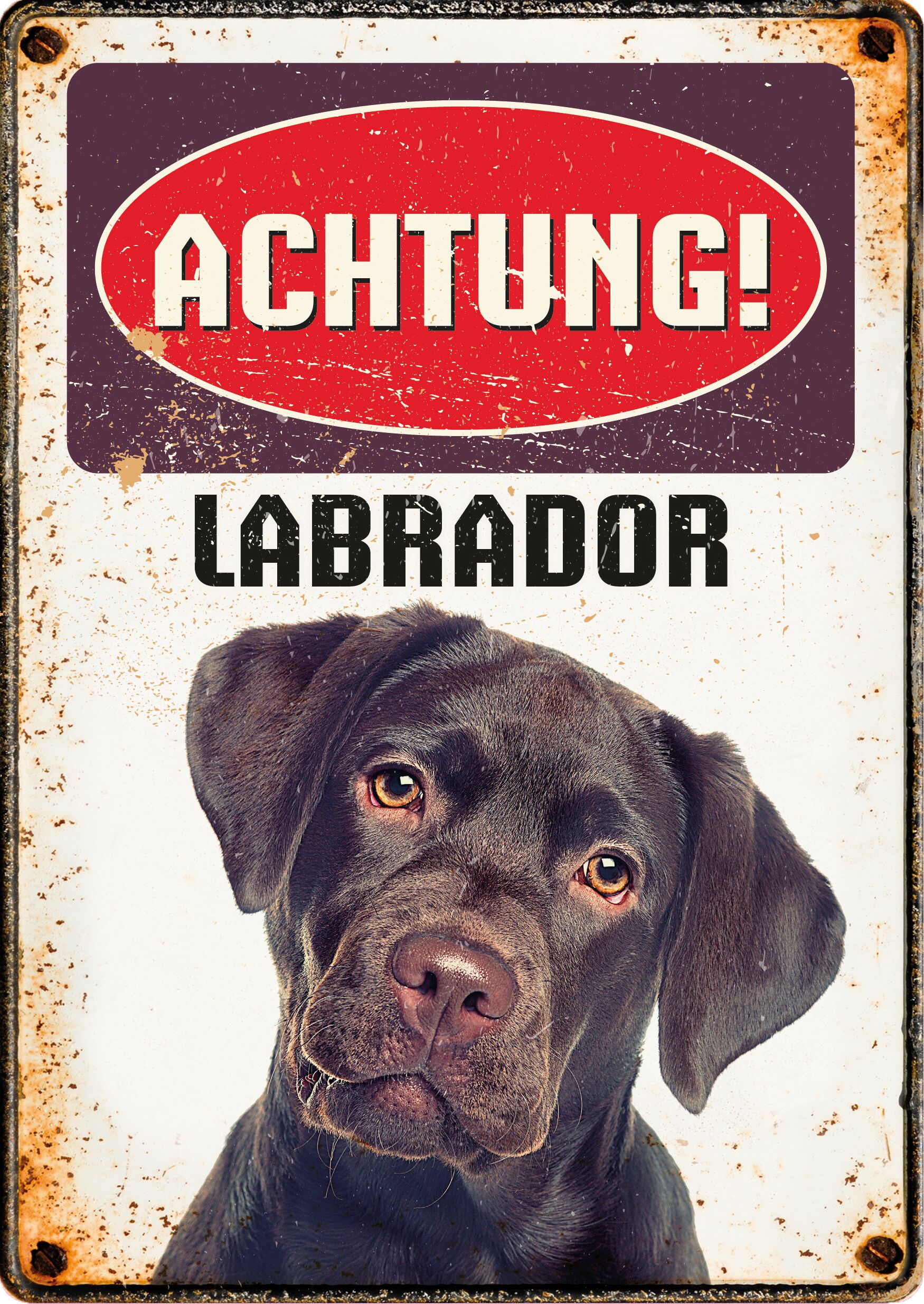 Plenty Gifts Schild Blech Labrador
