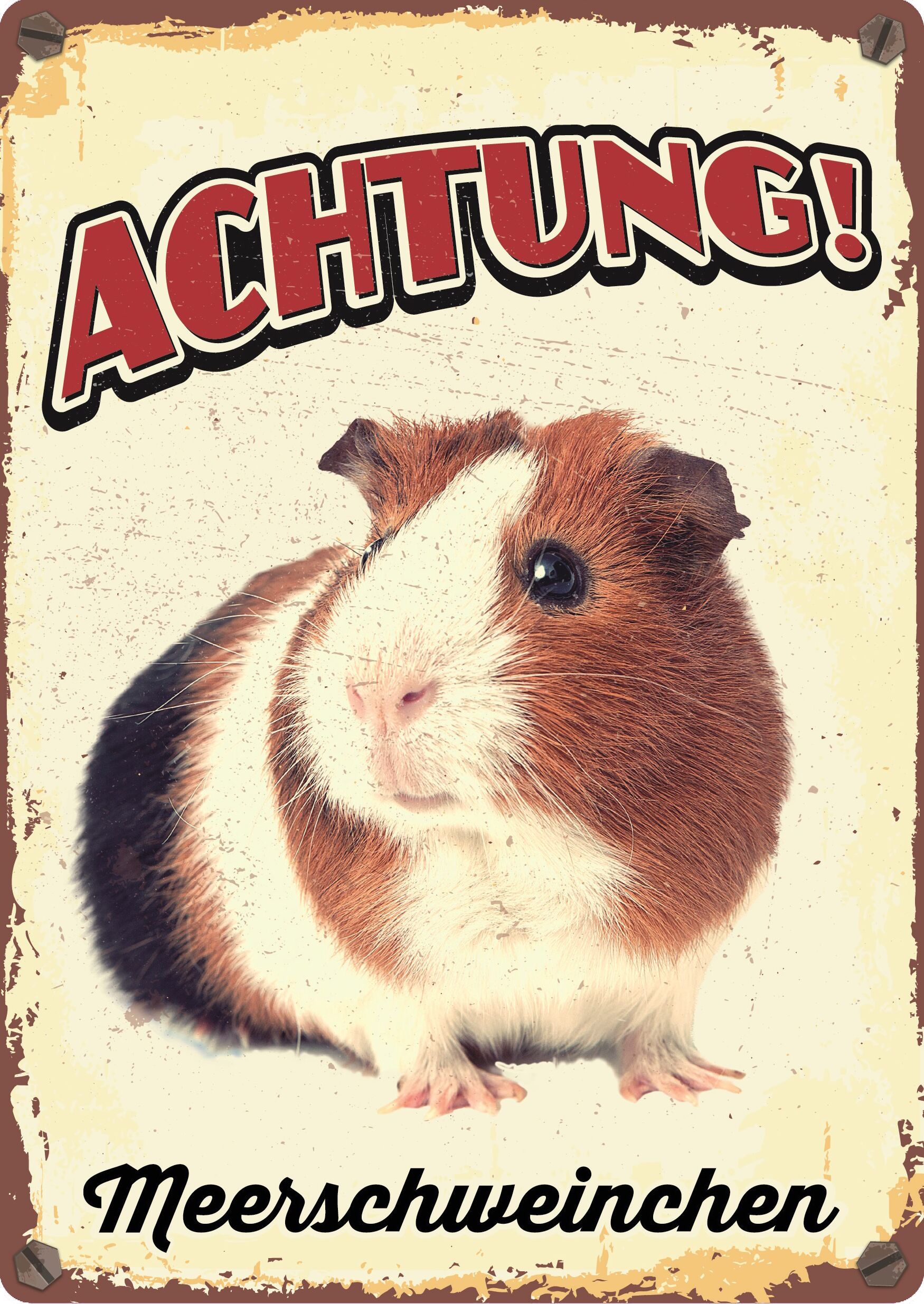 Plenty Gifts Schild Blech Meerschweinchen