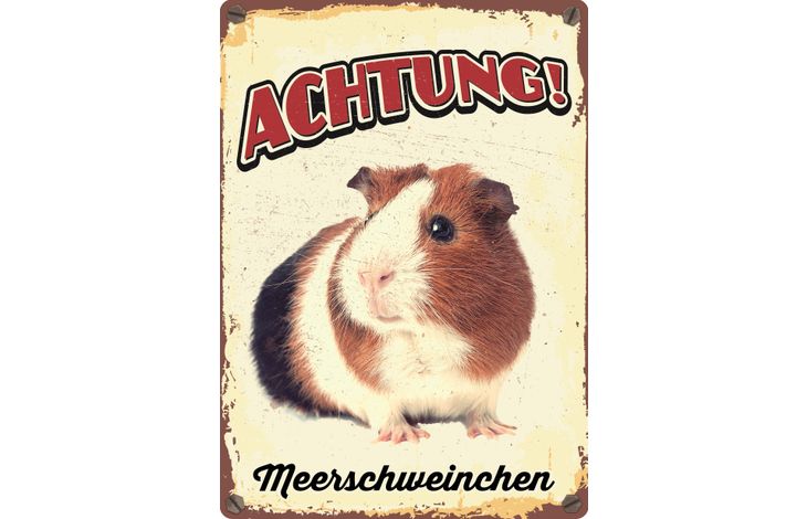 Plenty Gifts Schild Blech Meerschweinchen