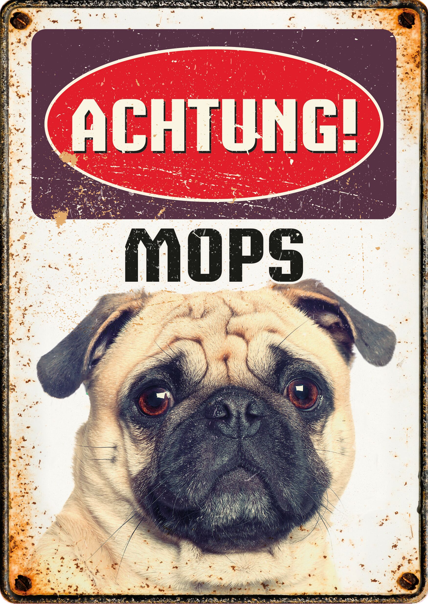 Plenty Gifts Schild Blech Mops