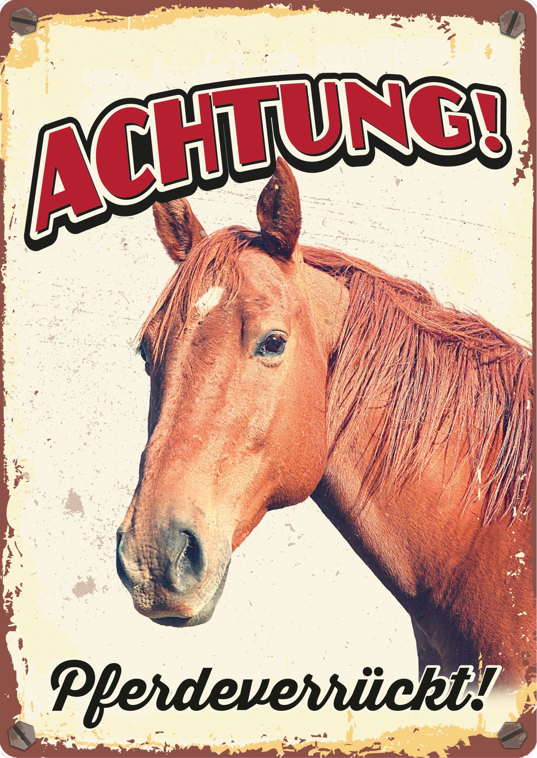 Plenty Gifts Schild Blech Pferdeverrückt