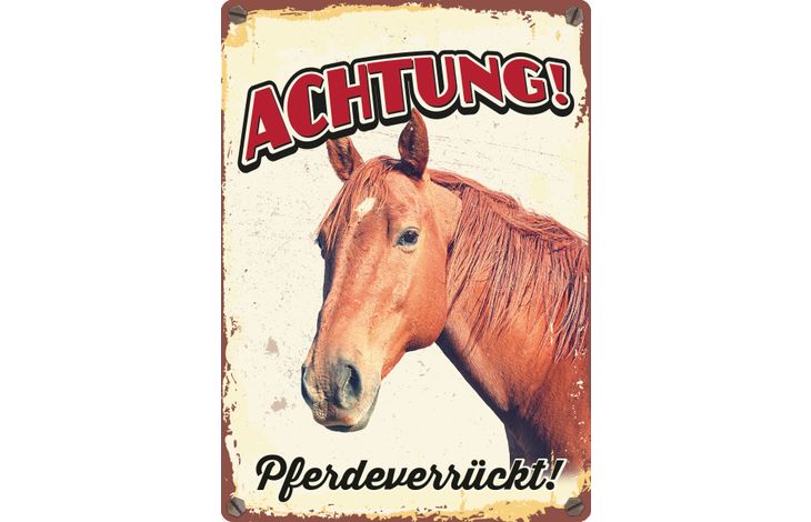 Plenty Gifts Schild Blech Pferdeverrückt