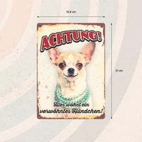 Plenty Gifts Schild Blech Verwöhntes Hündchen