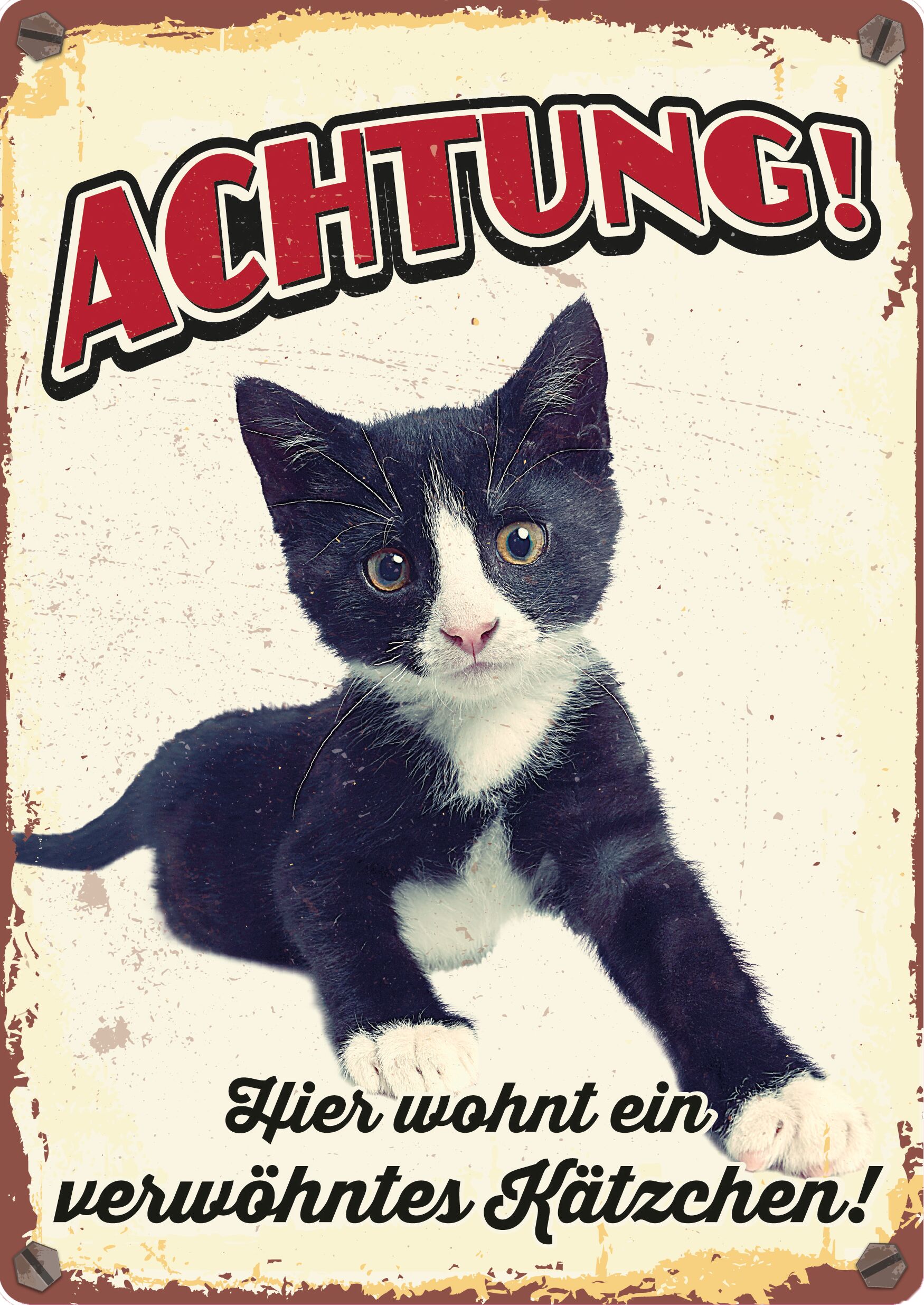 Plenty Gifts Schild Blech Verwöhntes Kätzchen