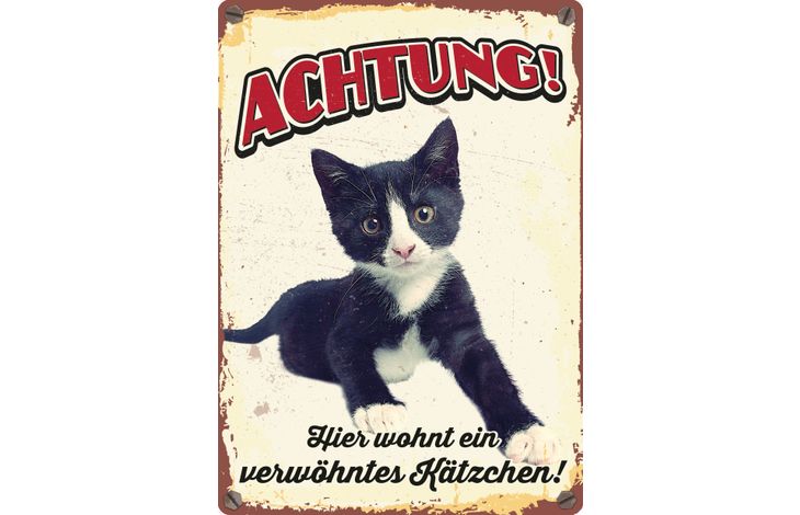 Plenty Gifts Schild Blech Verwöhntes Kätzchen