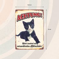 Plenty Gifts Schild Blech Verwöhntes Kätzchen