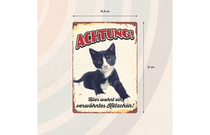 Plenty Gifts Schild Blech Verwöhntes Kätzchen