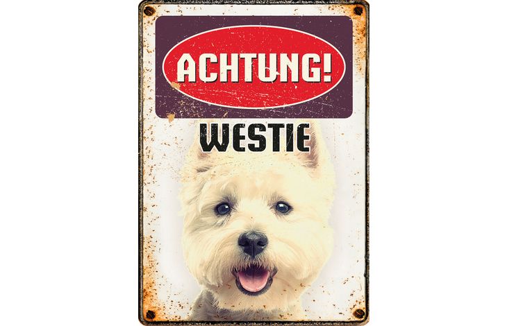 Plenty Gifts Schild Blech Westie