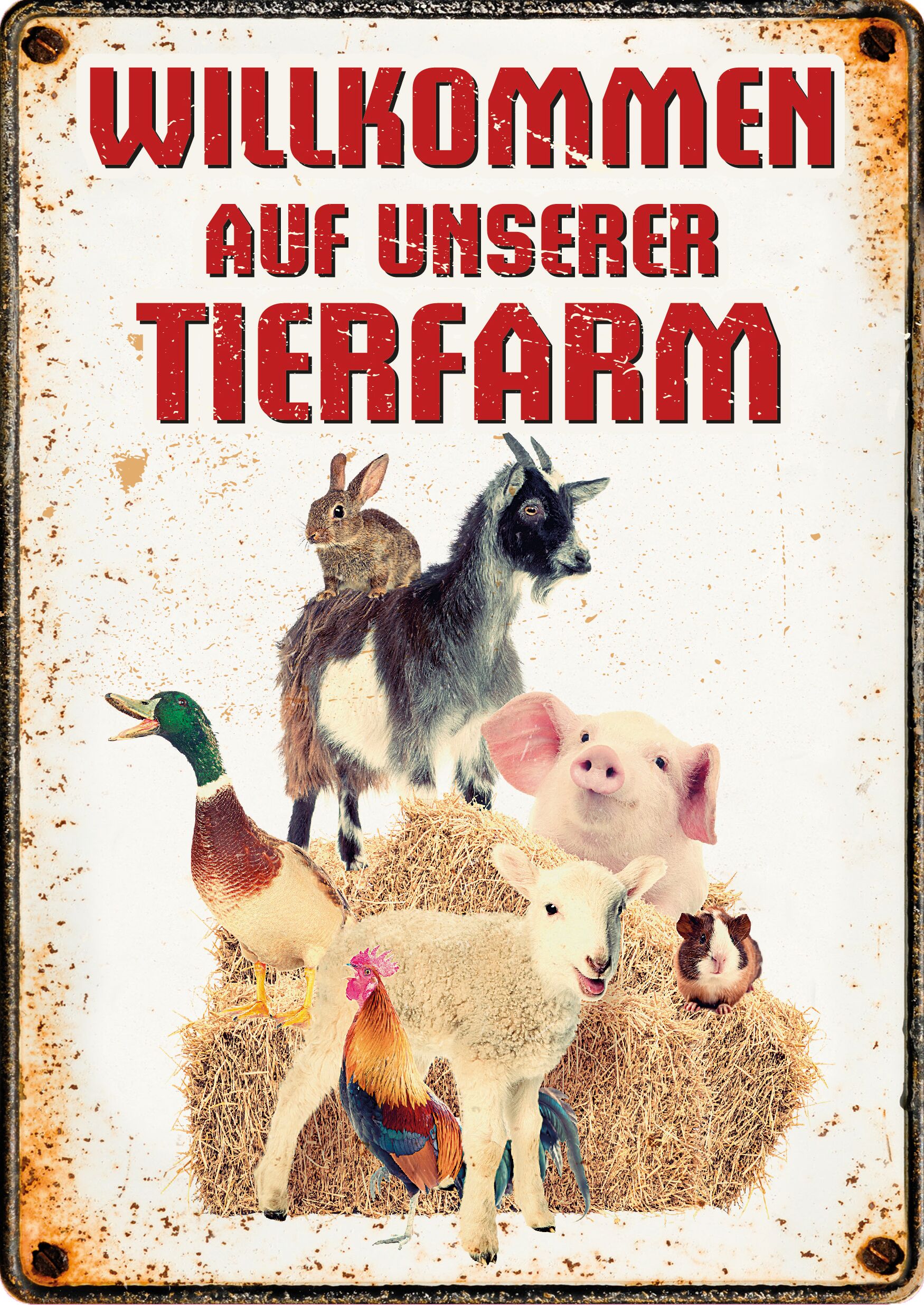 Plenty Gifts Schild Blech Tierfarm