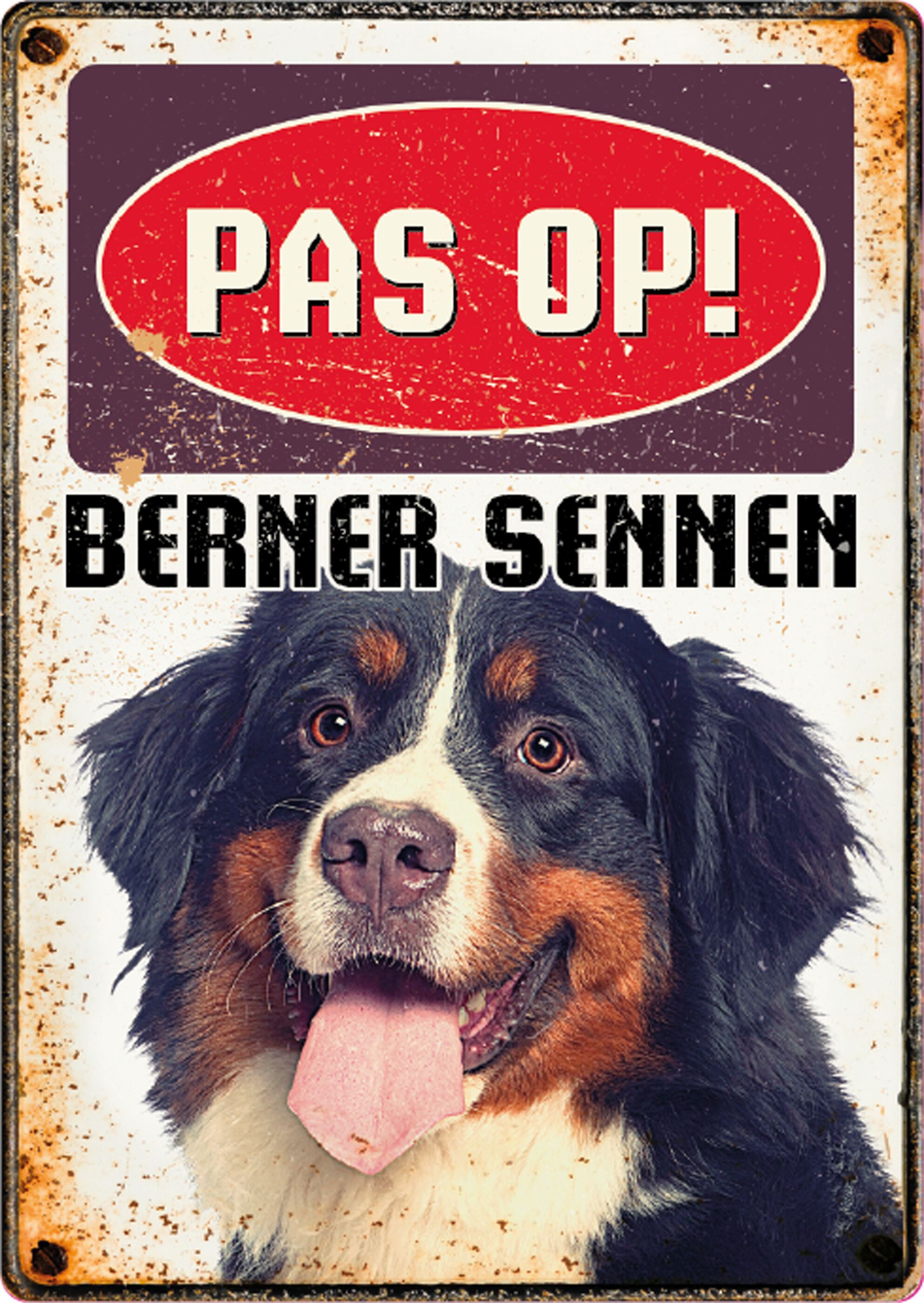 Plenty Gifts Bord Blik Berner Sennen (v)