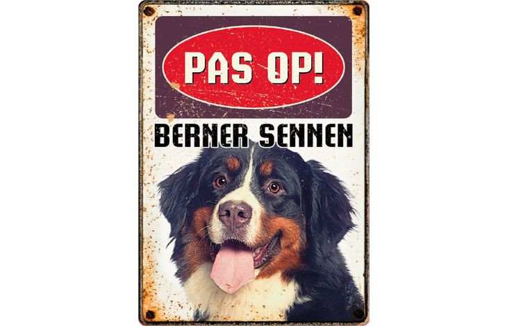 Plenty Gifts Bord Blik Berner Sennen (v)